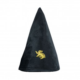 HARRY POTTER CAPPELLO DA...