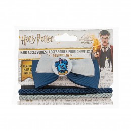 HARRY POTTER ACCESSORI...