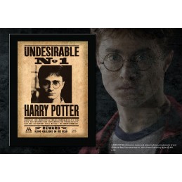 HARRY POTTER UNDESIRABLE...